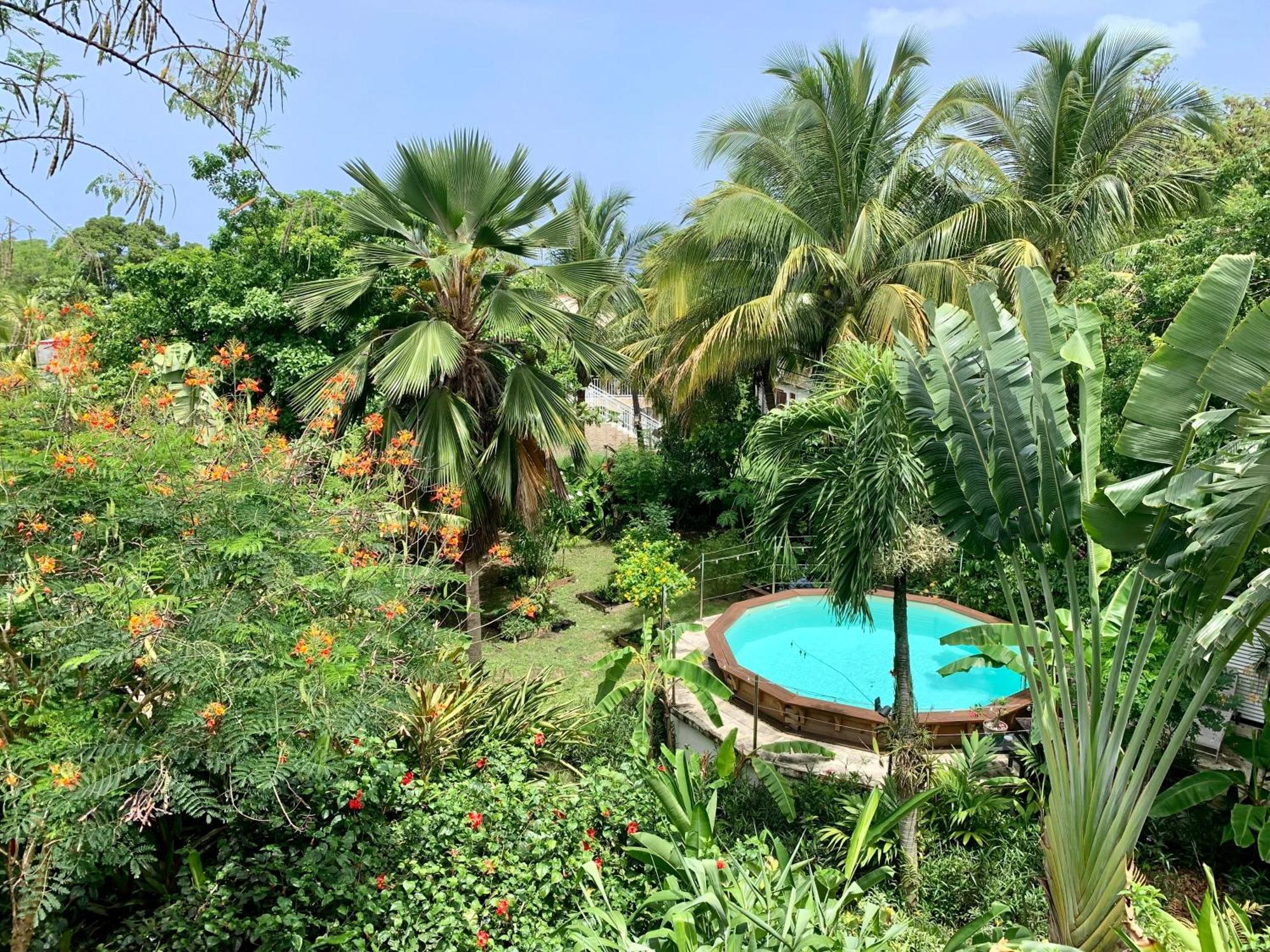 Banan Woz Apartment Bouillante Luaran gambar